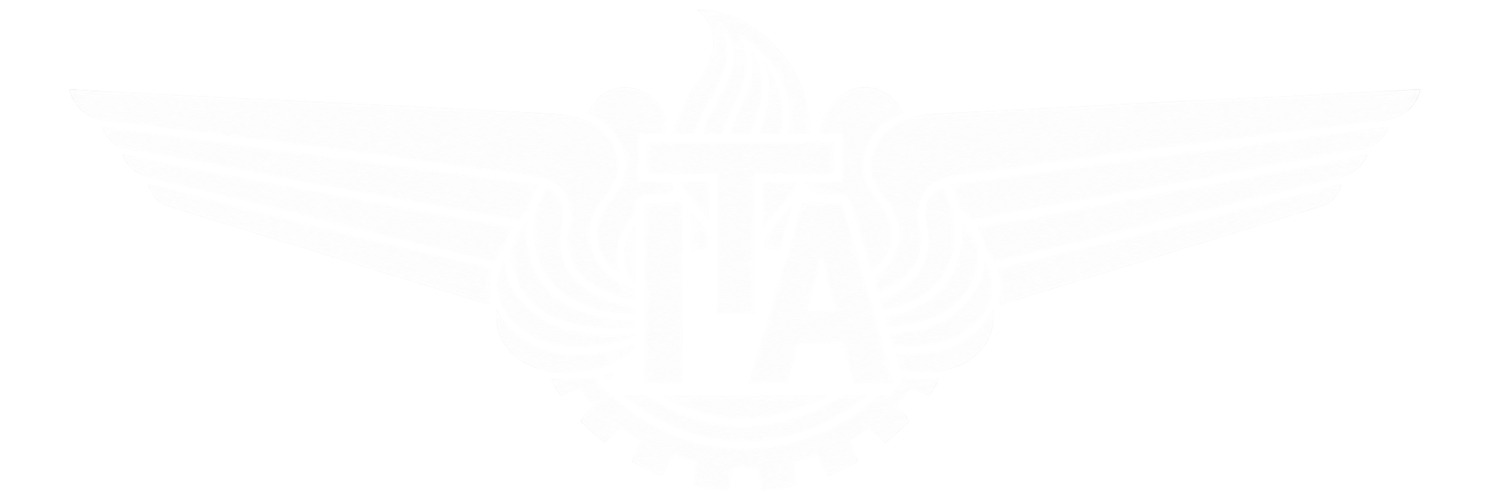 Aeronautics Institute of Technology logo